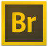 Adobe Bridge数字资产管理软件 10.1.1.166.0 特别版