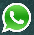 Whatsapp电脑版 0.3.204