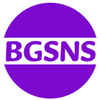 BG社区 BGSNS 1.0